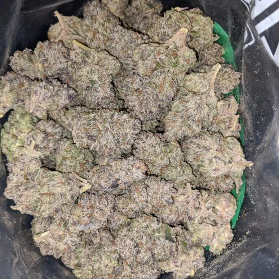 black cherry soda 2 2 I Black Cherry Soda