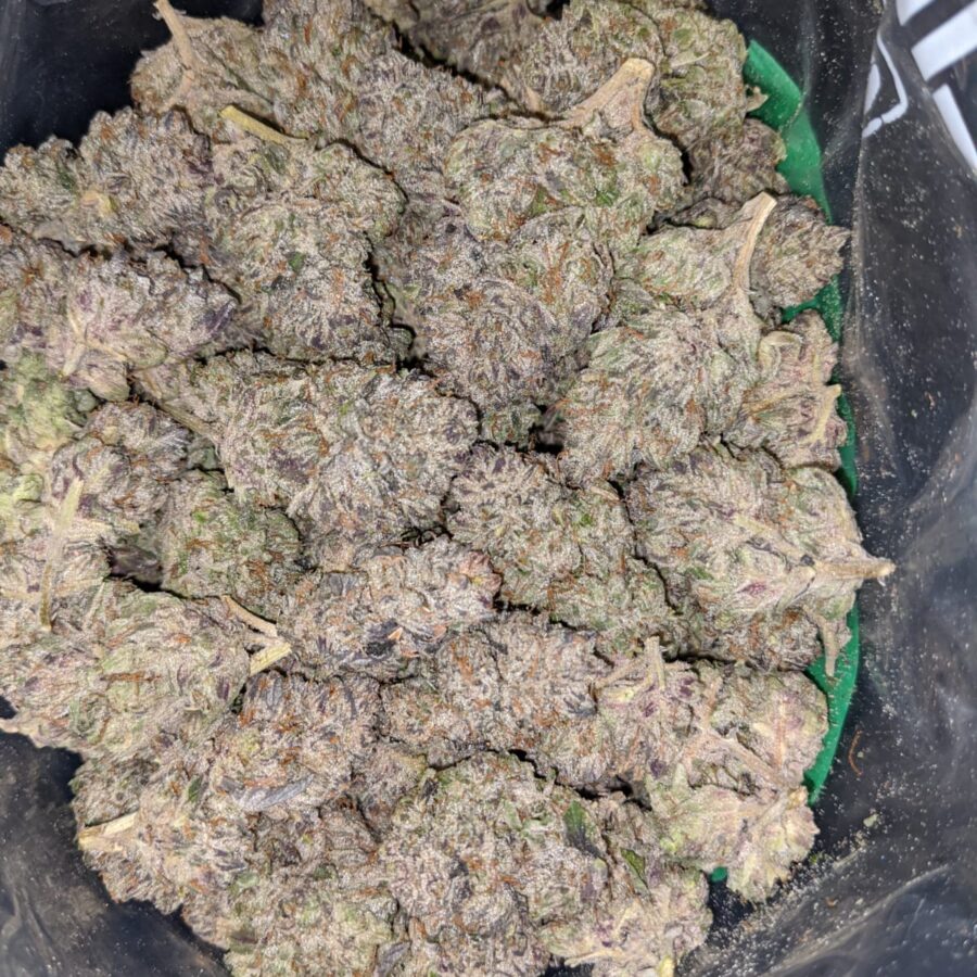 black cherry soda 3 2 I Black Cherry Soda