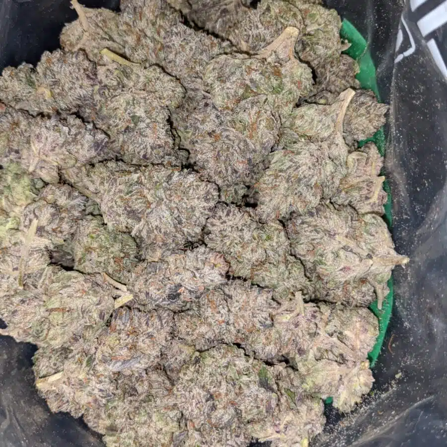 black cherry soda 3 2 I Black Cherry Soda