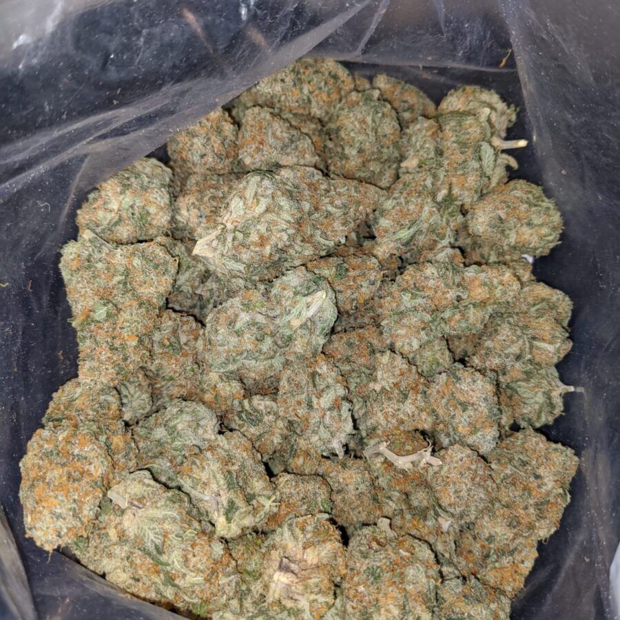 champenge kush 4 I Champagne Kush