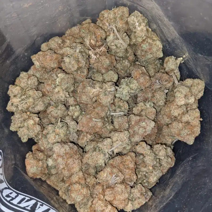 Lemon Pie