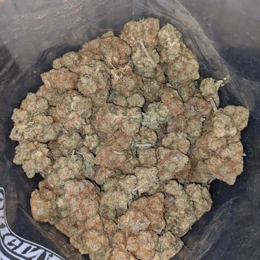 lemon pie 4 I Lemon Pie