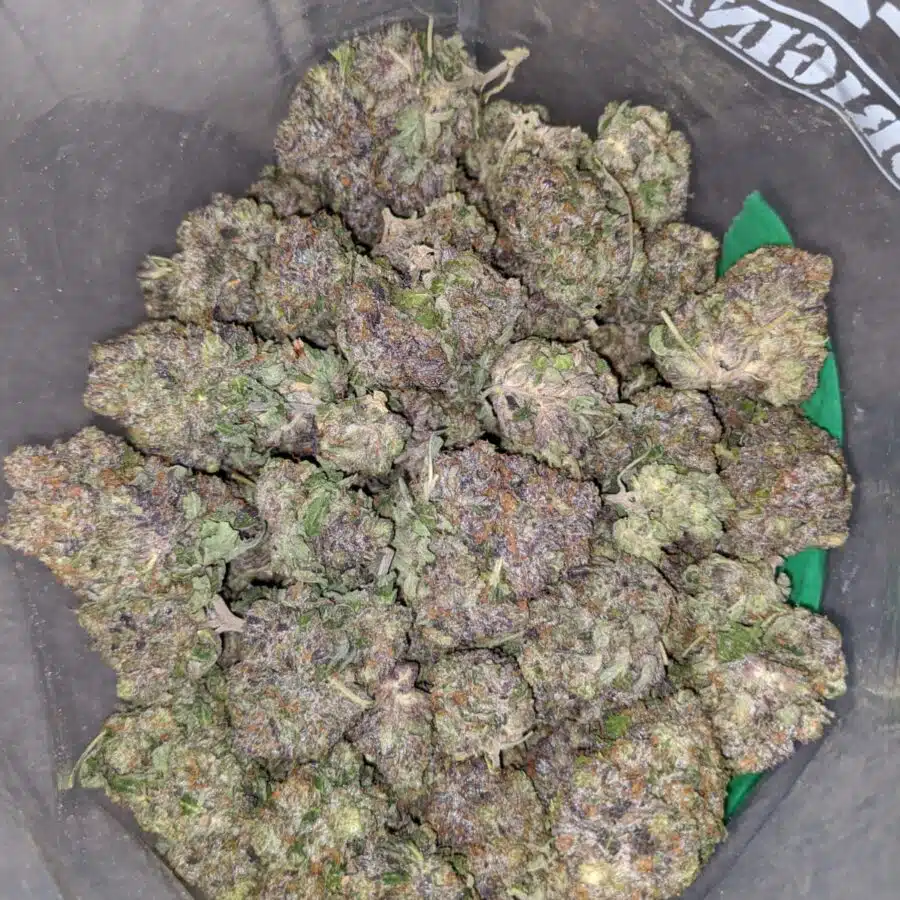 purple afghani 3 I Purple Afghani