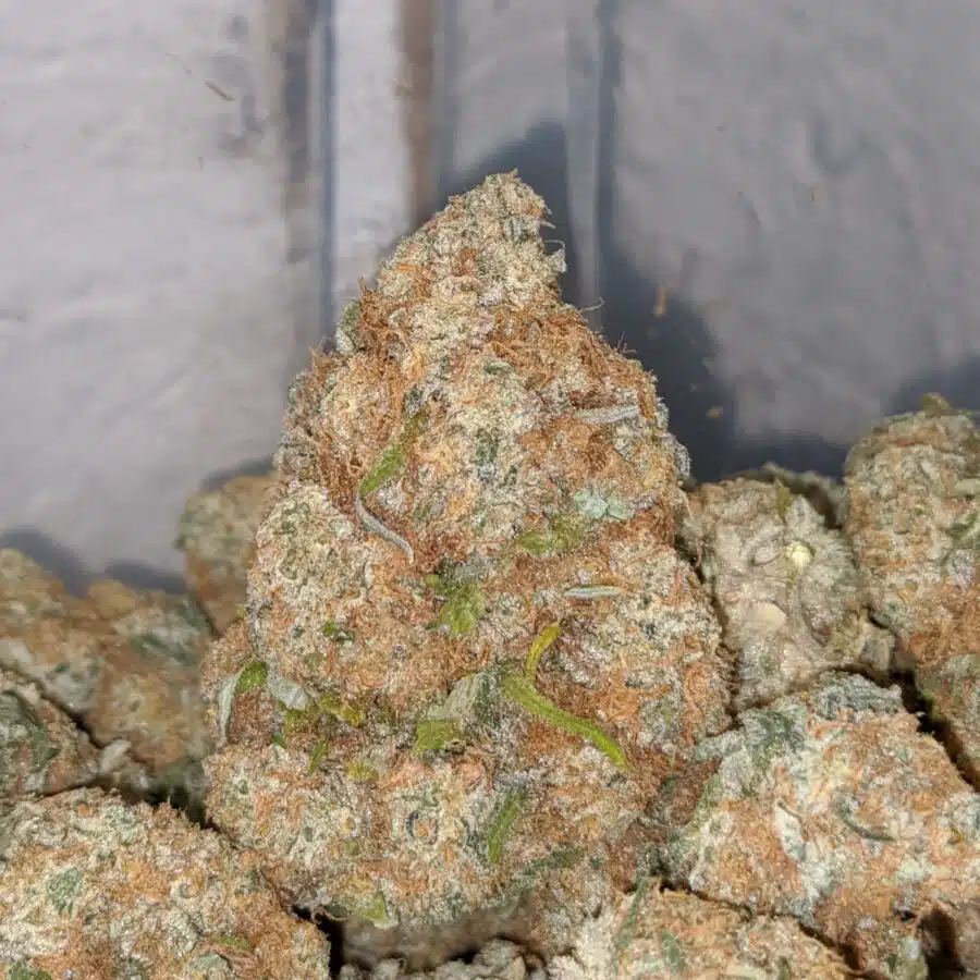 skittles nose 1 I $69 Oz - Sobert AAA