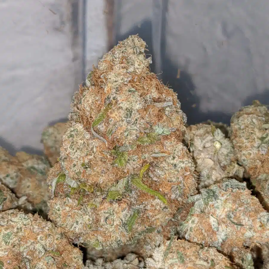skittles nose 2 I $69 Oz - Sobert AAA