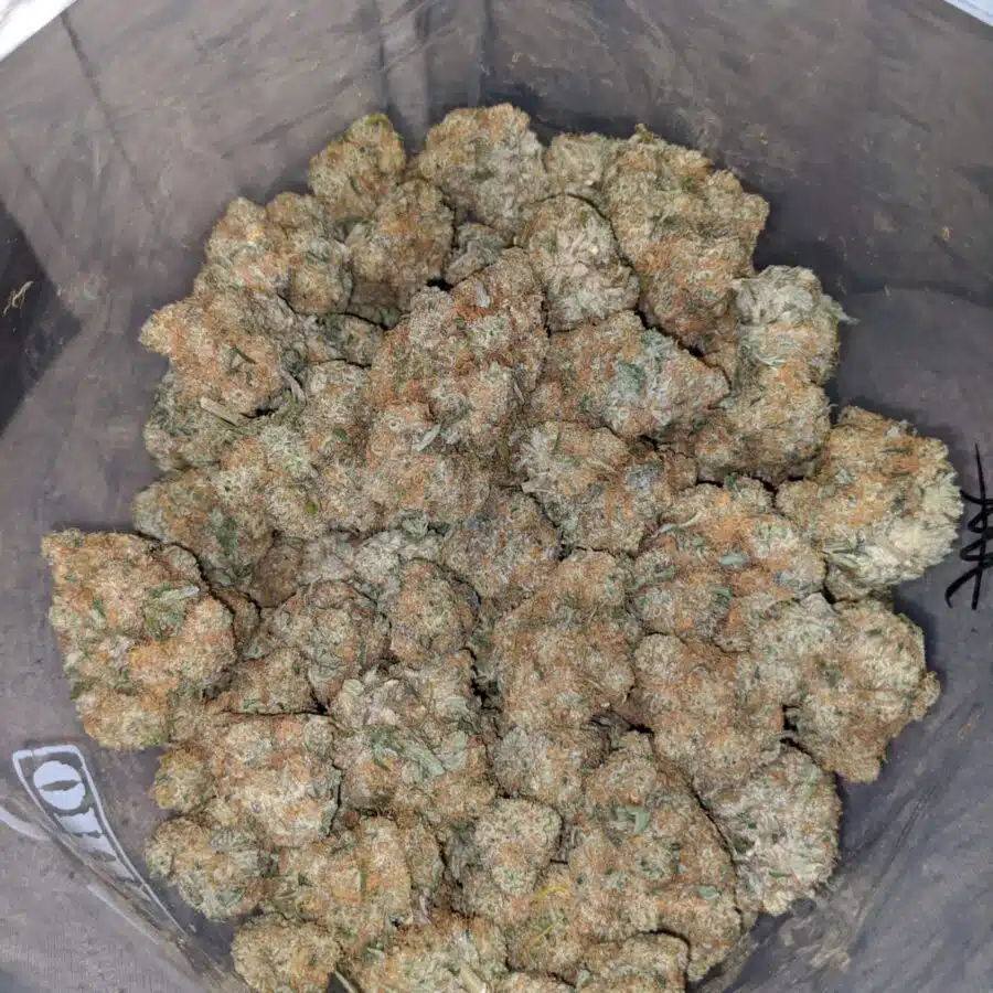 Alternative view of $69 Oz - Sobert AAA