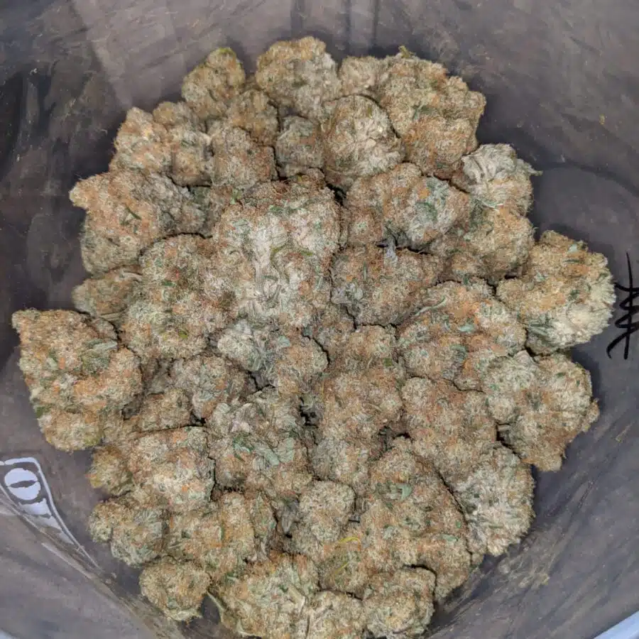 $69 Oz - Sobert AAA