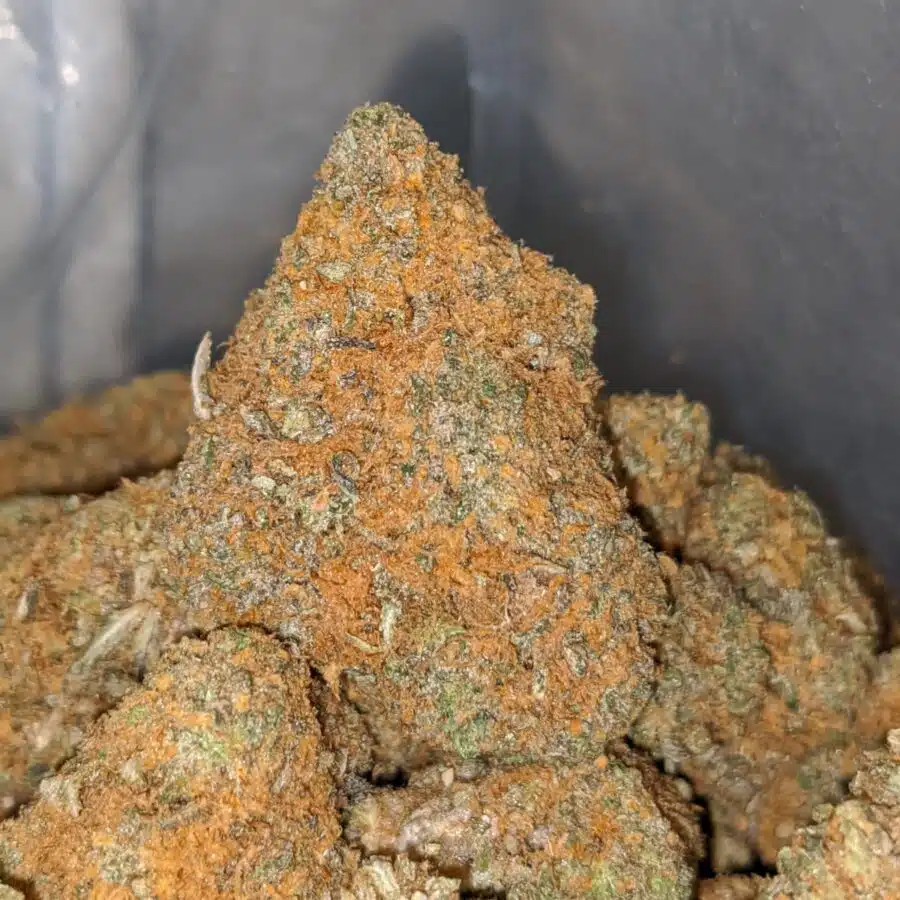 sweet dutch 2 I Sweet Dutch