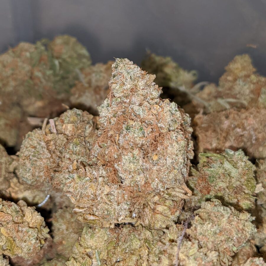 AA HEADBAND BS 1 I Headband OG - Deal of the Day