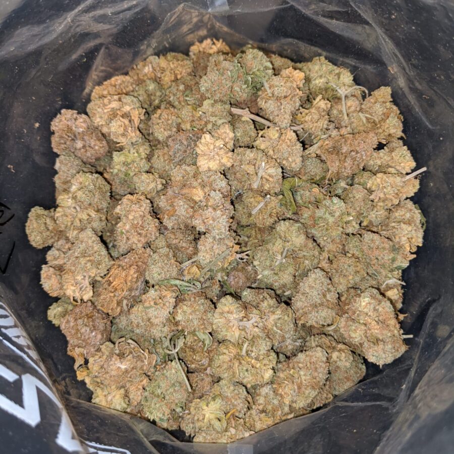 AA HEADBAND BS 3 I Headband OG - Deal of the Day
