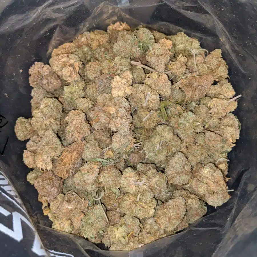 AA HEADBAND BS 3 I Headband OG - Deal of the Day