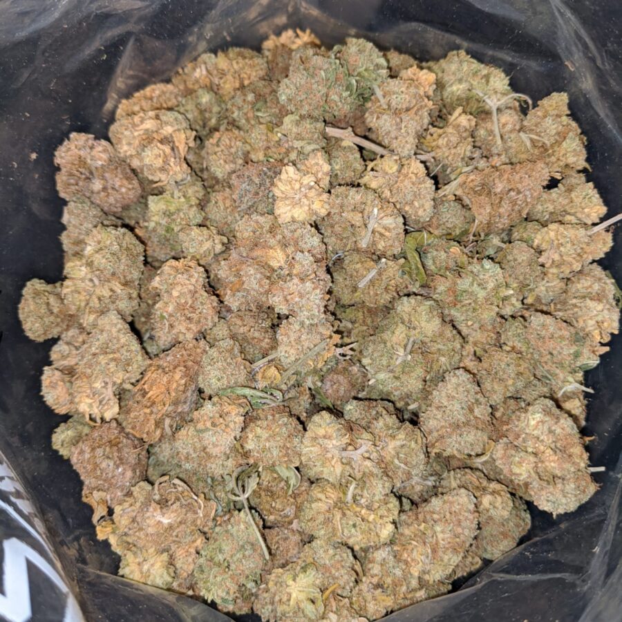 AA HEADBAND BS 4 I Headband OG - Deal of the Day