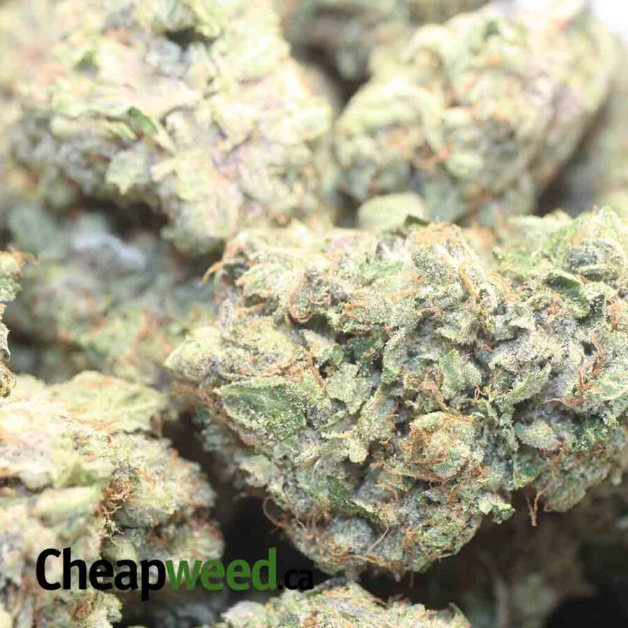 BATMAN OG 3 I Batman OG