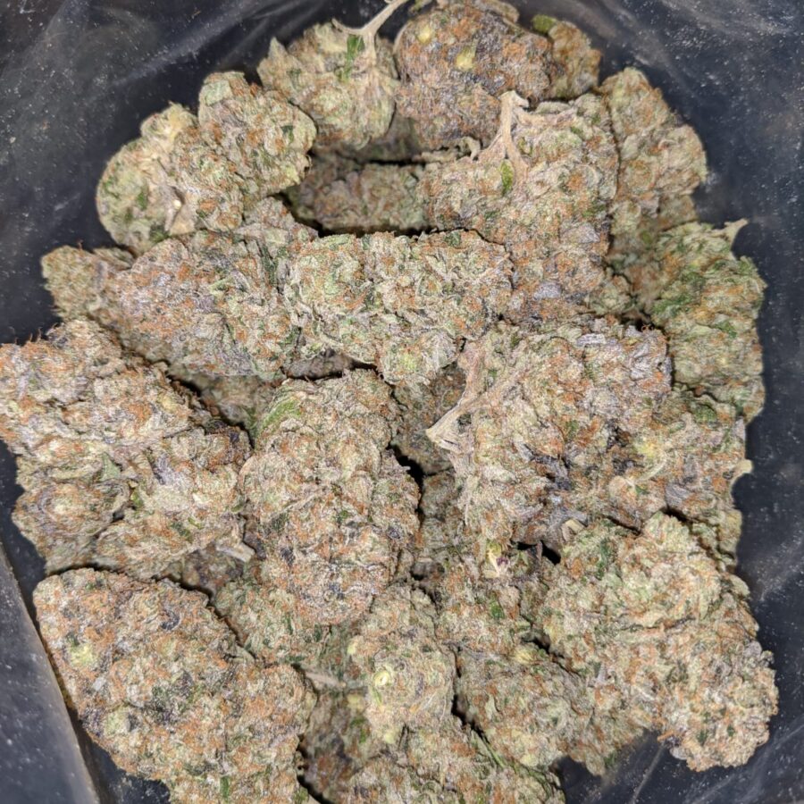 BLACK COMATOSE 1 1 I $79 Oz - Comatose