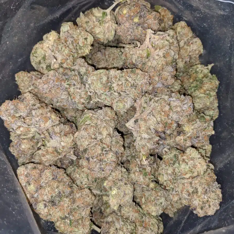 BLACK COMATOSE 4 1 I $79 Oz - Comatose