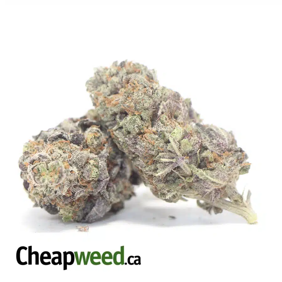 Alternative view of Black Raspberry - *Deal of the Day*