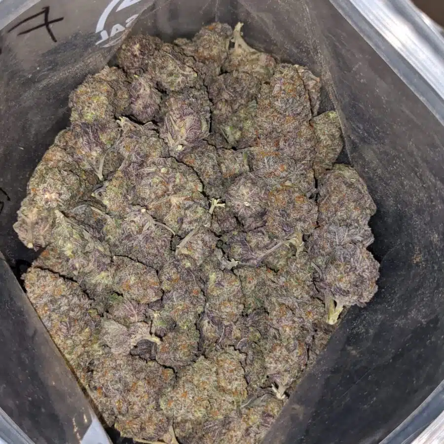 BLACK RASPBERRY DOD 4 I Black Raspberry - *Deal of the Day*