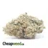 El Jefe 25.50% THC