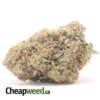$79 Oz - El Chapo