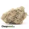 $79 Oz - El Chapo