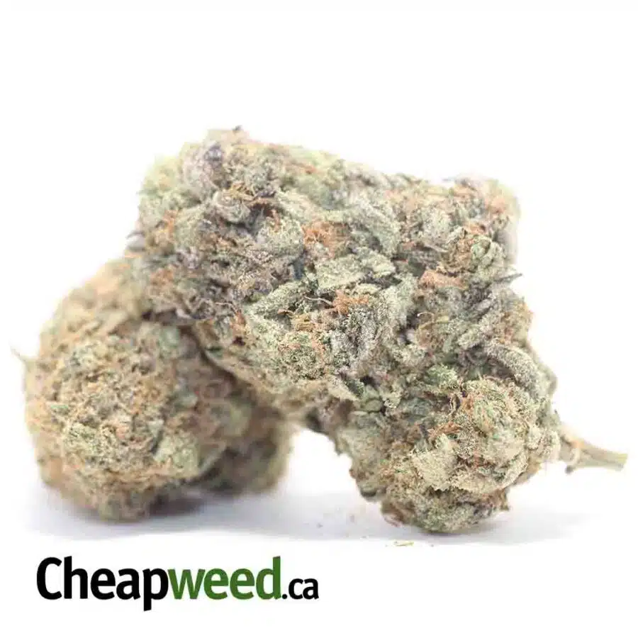 EL MURETTE 3 I $79 Oz - El Chapo