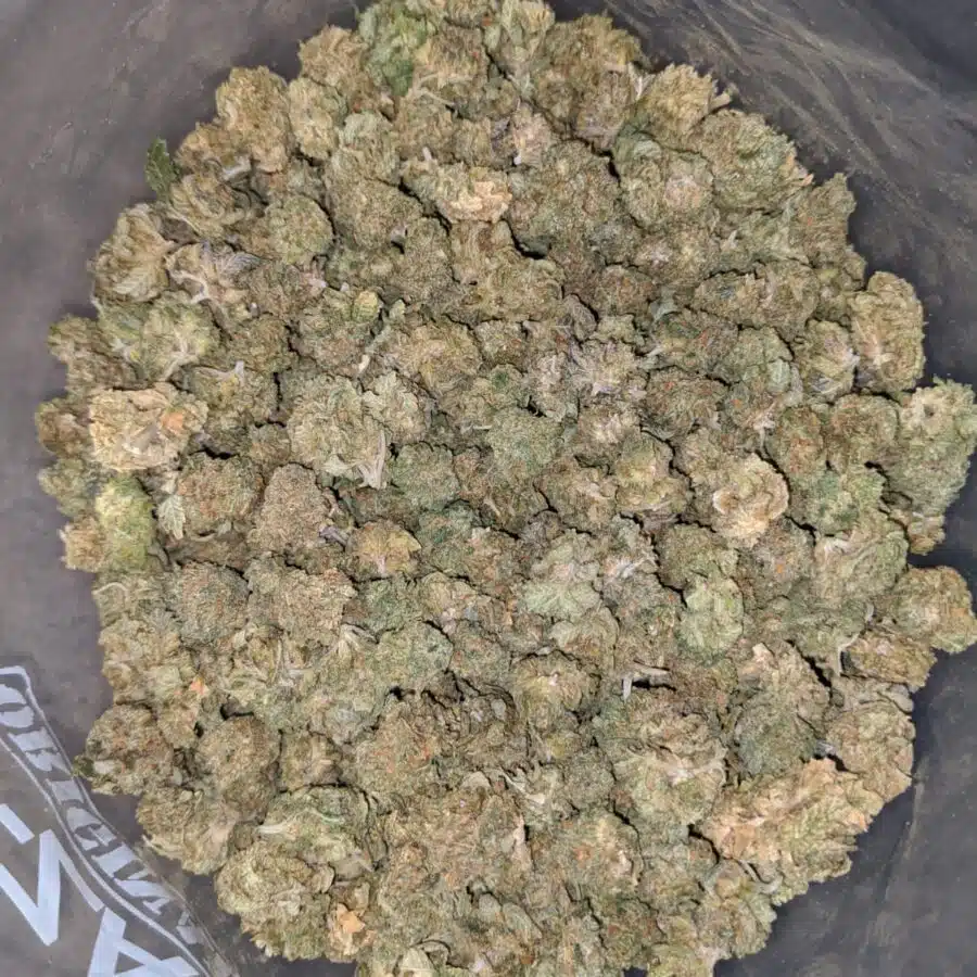 Gas berry BS 3 I Gas Berry Bulk Special