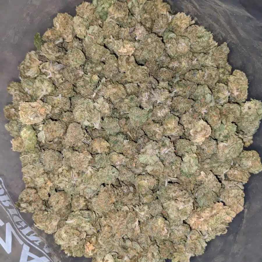 Gas berry BS 4 I Gas Berry Bulk Special