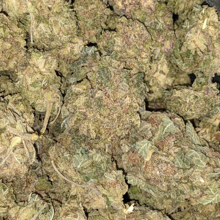 Goji Berry 1 1 I $49 Oz - VeryBerry