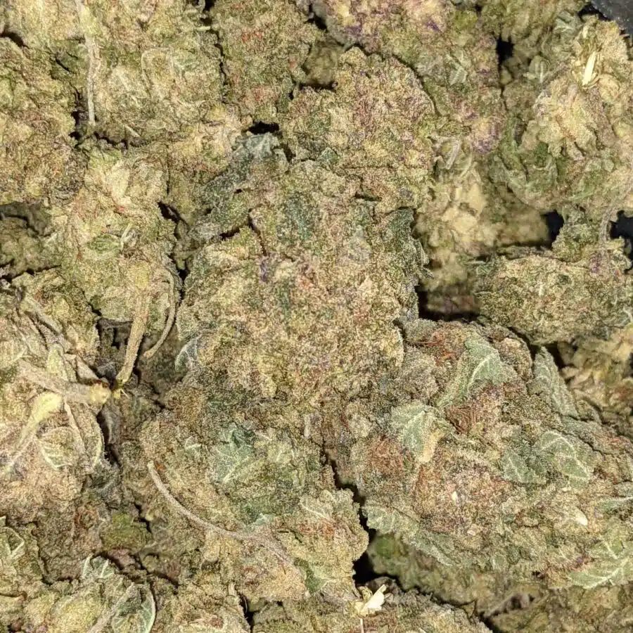Goji Berry 1 1 I $49 Oz - VeryBerry