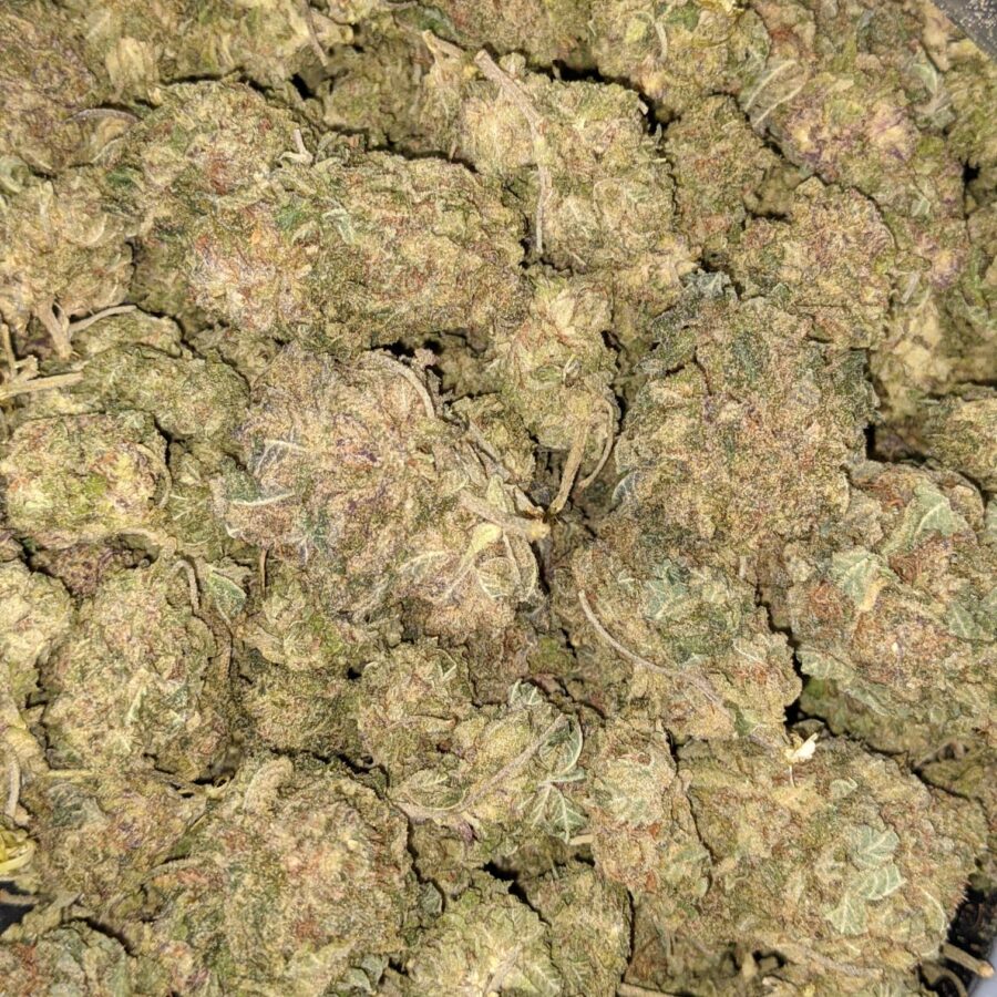 Goji Berry 2 1 I $49 Oz - VeryBerry