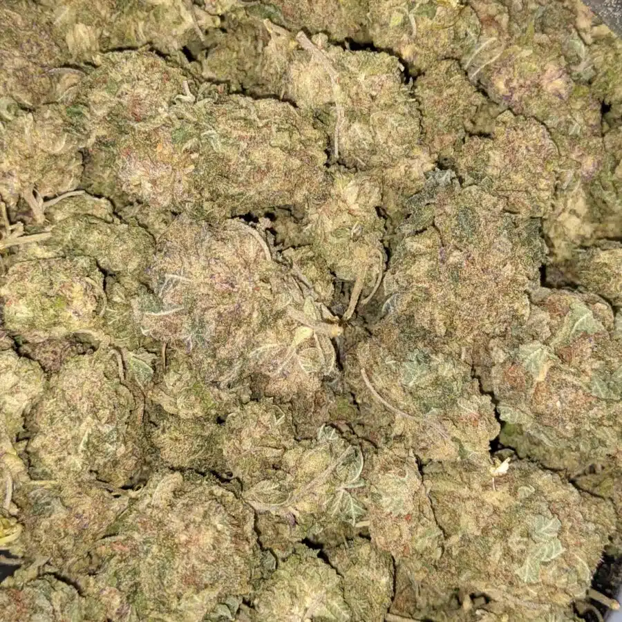Goji Berry 2 1 I $49 Oz - VeryBerry