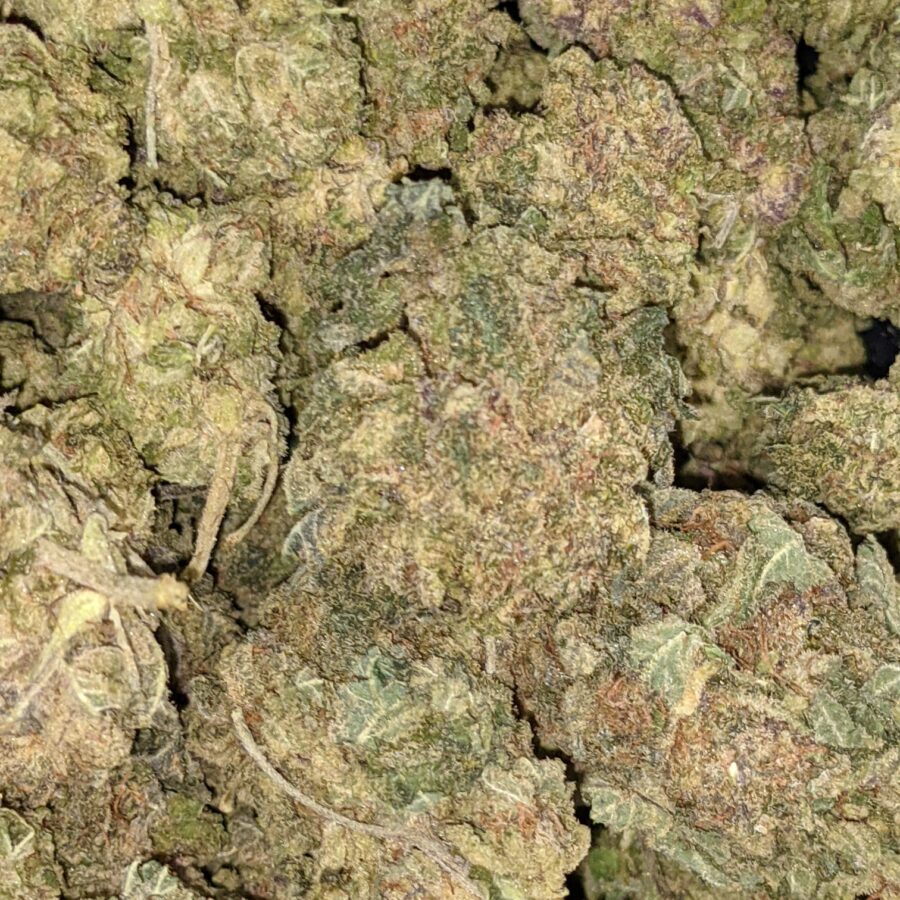 Goji Berry 3 1 I $49 Oz - VeryBerry