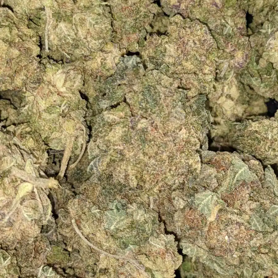 Goji Berry 3 1 I $49 Oz - VeryBerry