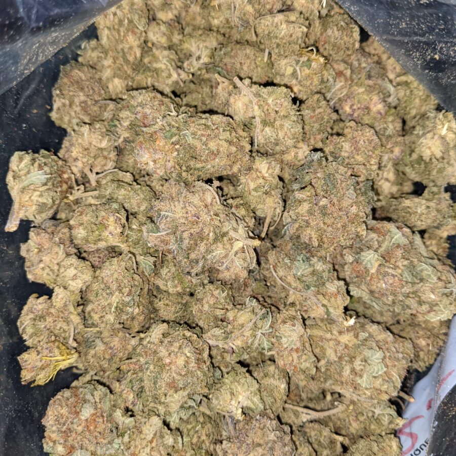 Goji Berry 5 I $49 Oz - VeryBerry