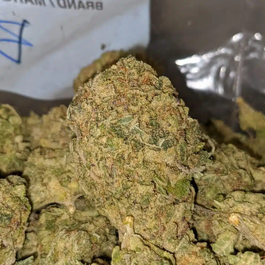 HEADBAND BULK SPECIAL 1 I $49 Oz - Headband