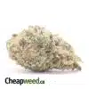 $49 Oz - Headband