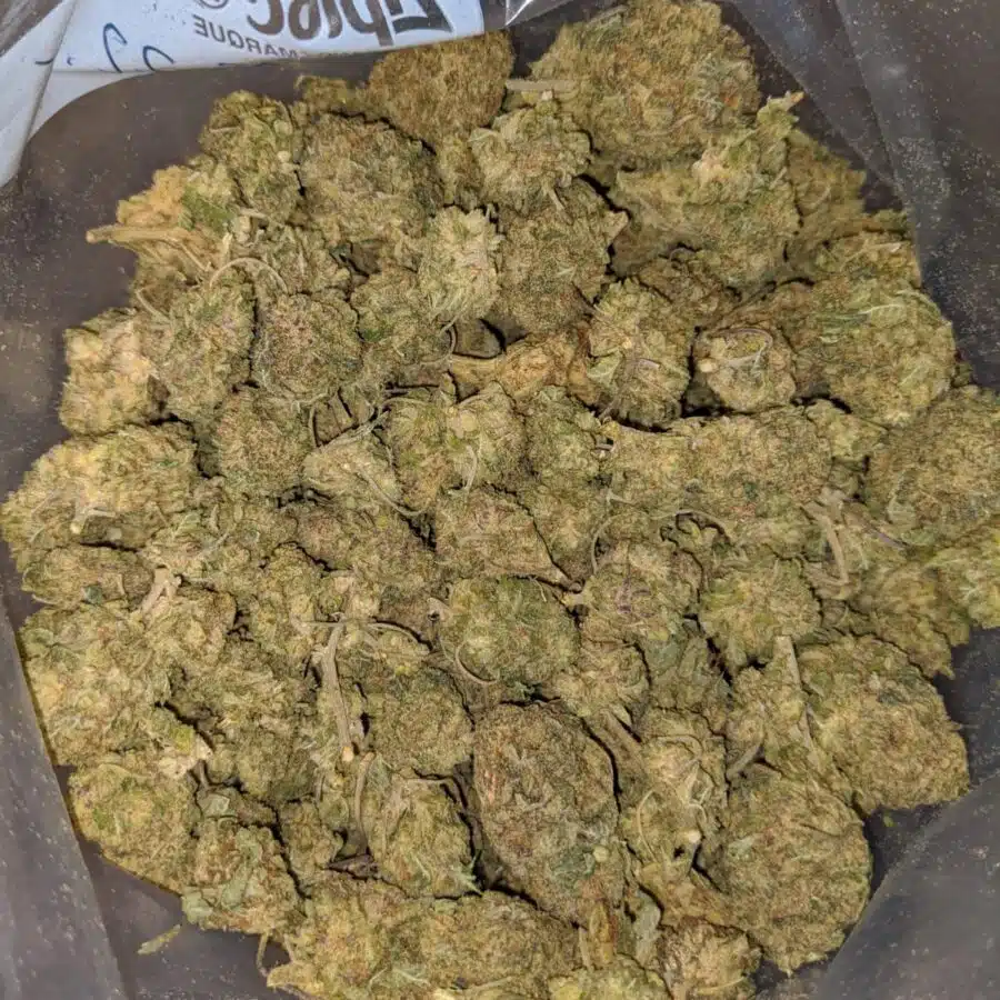 HEADBAND BULK SPECIAL 2 I $49 Oz - Headband