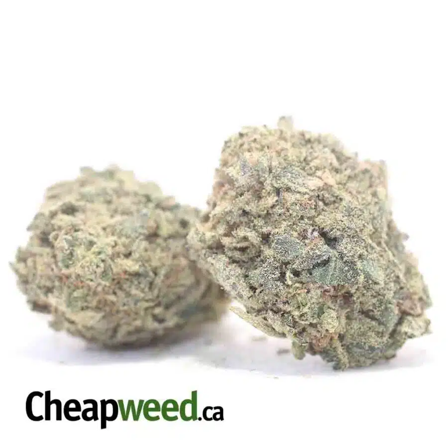 HEADBAND BULK SPECIAL 3 I $49 Oz - Headband