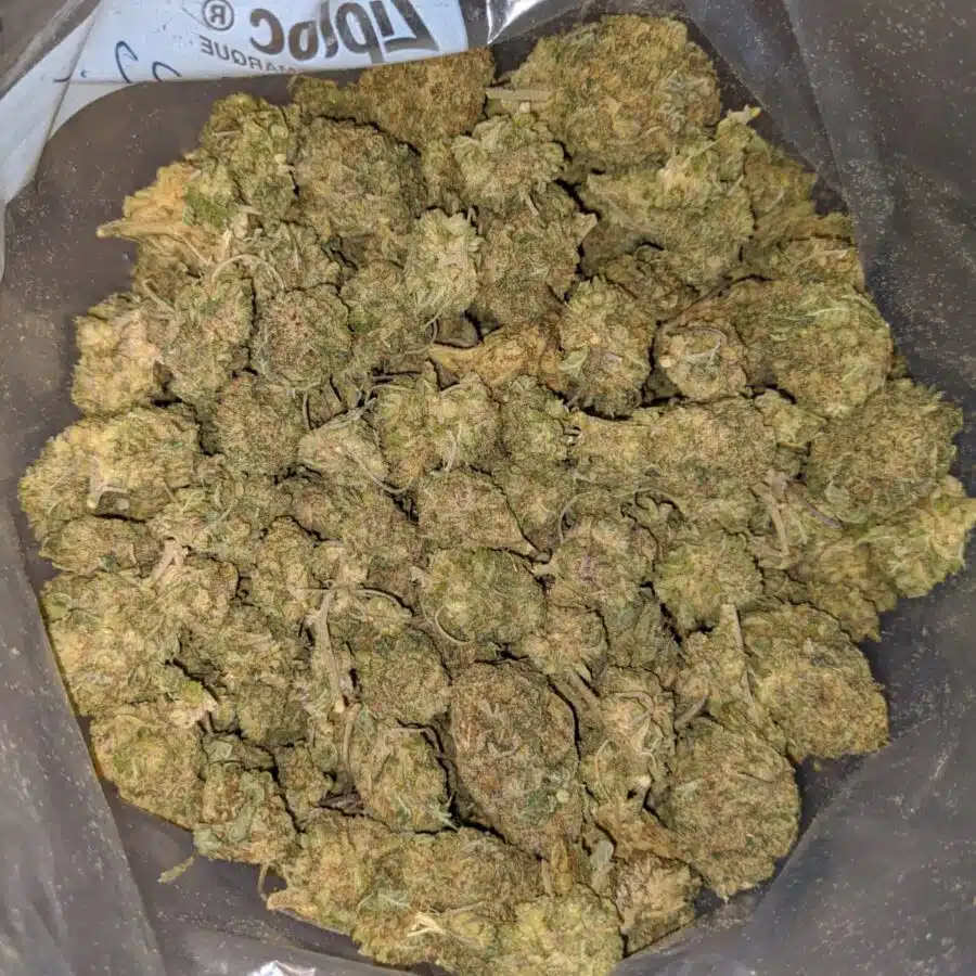 HEADBAND BULK SPECIAL 4 I $49 Oz - Headband