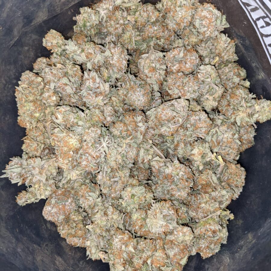 HINDU KUSH DO D 3 I Hindu - *Deal Of The Day*