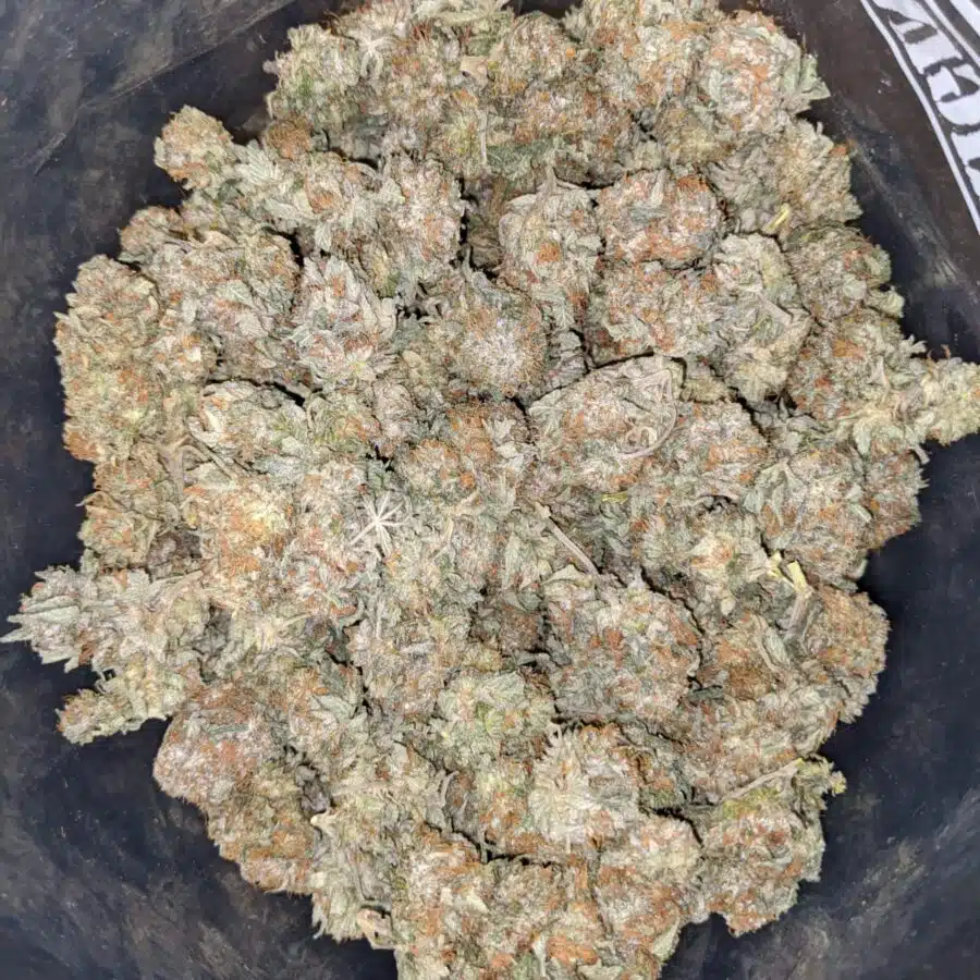 HINDU KUSH DO D 3 I Hindu - *Deal Of The Day*