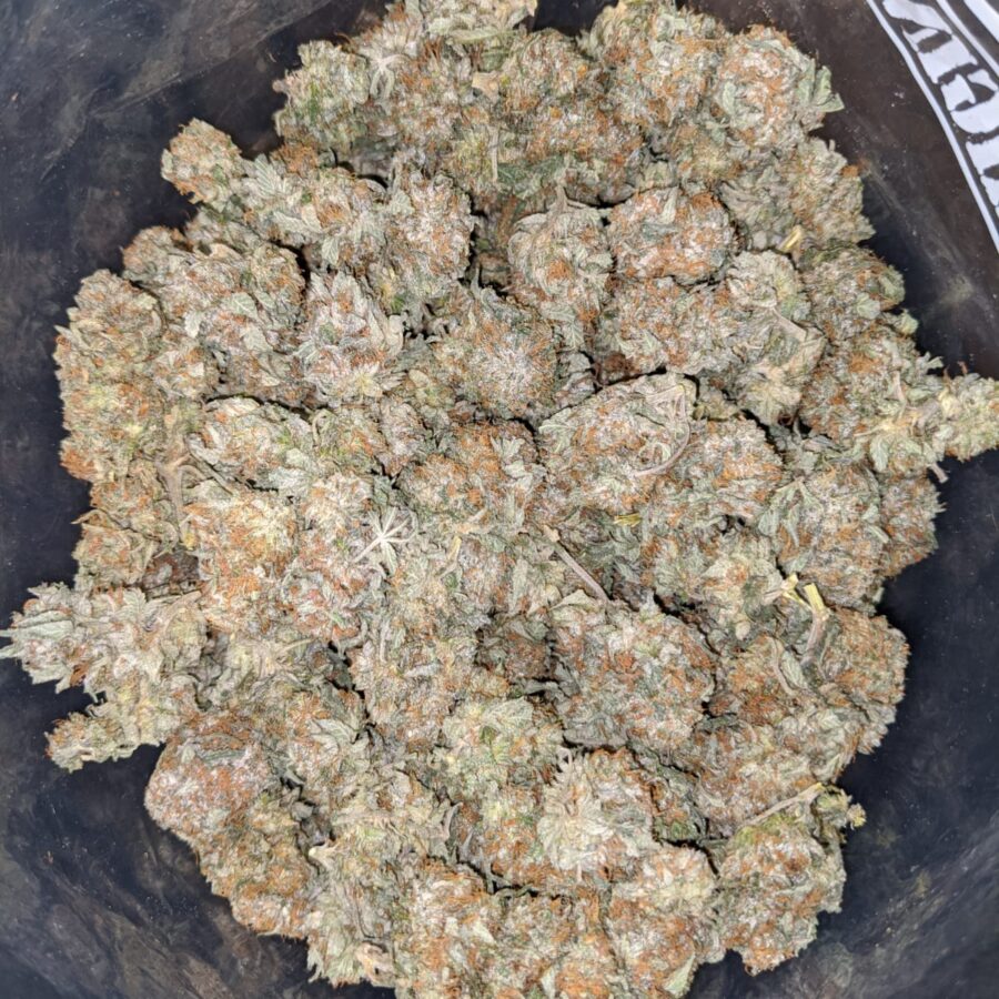 HINDU KUSH DO D 4 I Hindu - *Deal Of The Day*