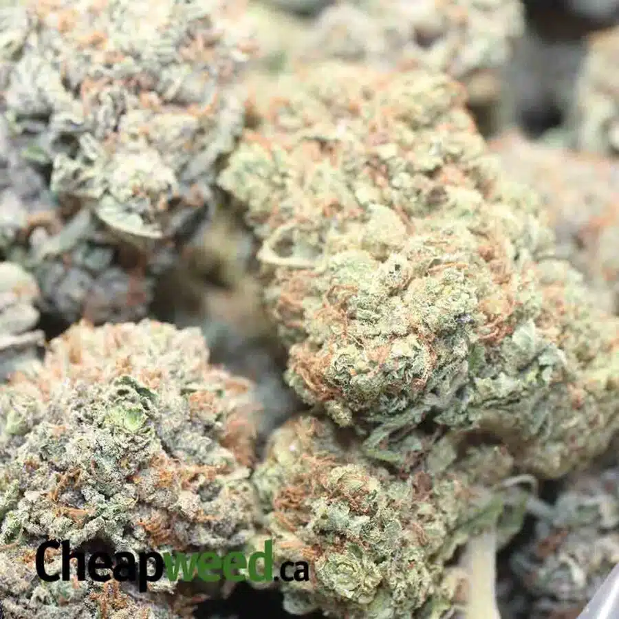 ICE KUSH 1 I $49 Oz - Ice Kush