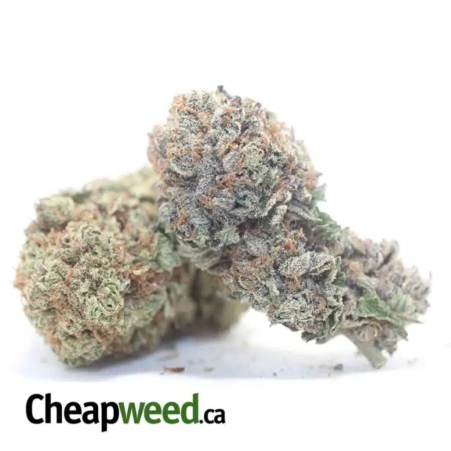Alternative view of $49 Oz - Ice Kush