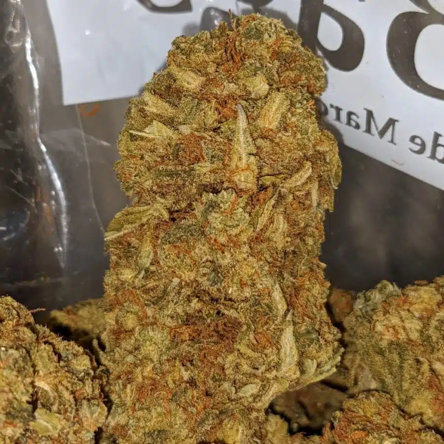 JACK DIESEL BS 1 I Jack Diesel Bulk Special