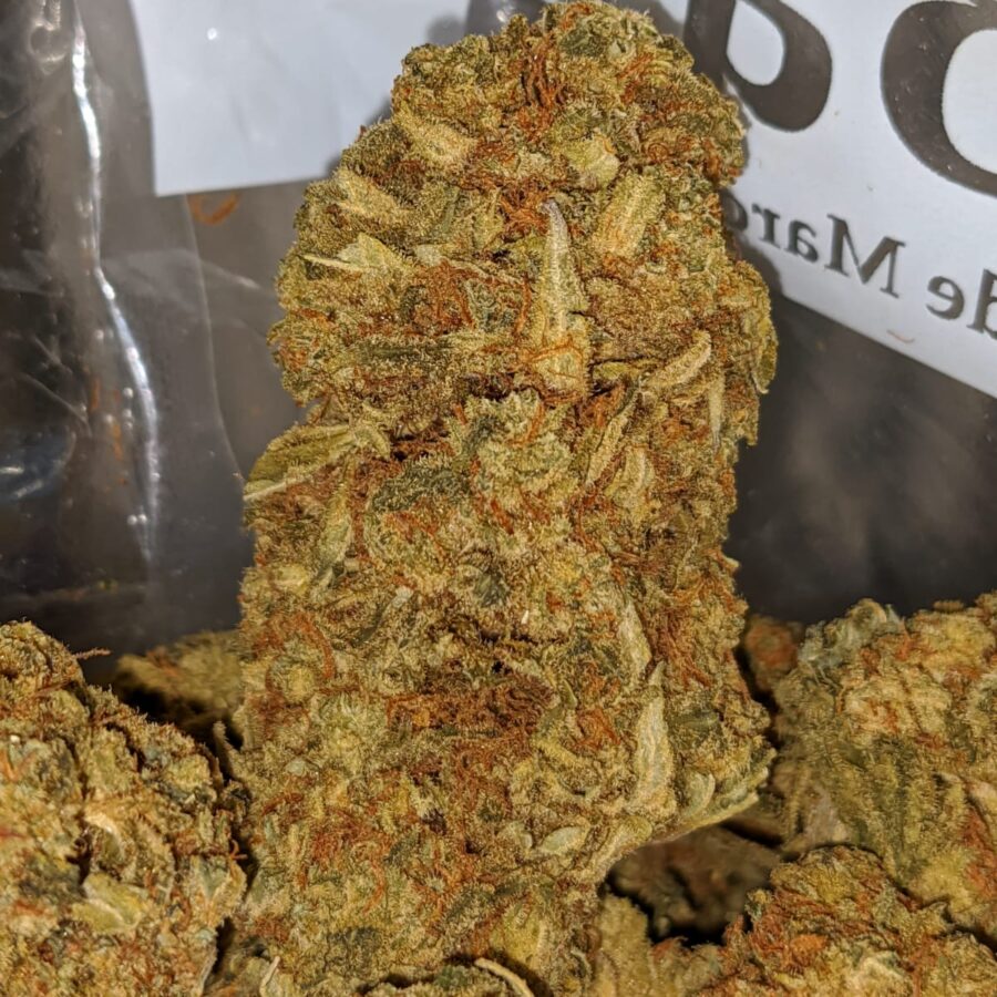 JACK DIESEL BS 2 I Jack Diesel Bulk Special