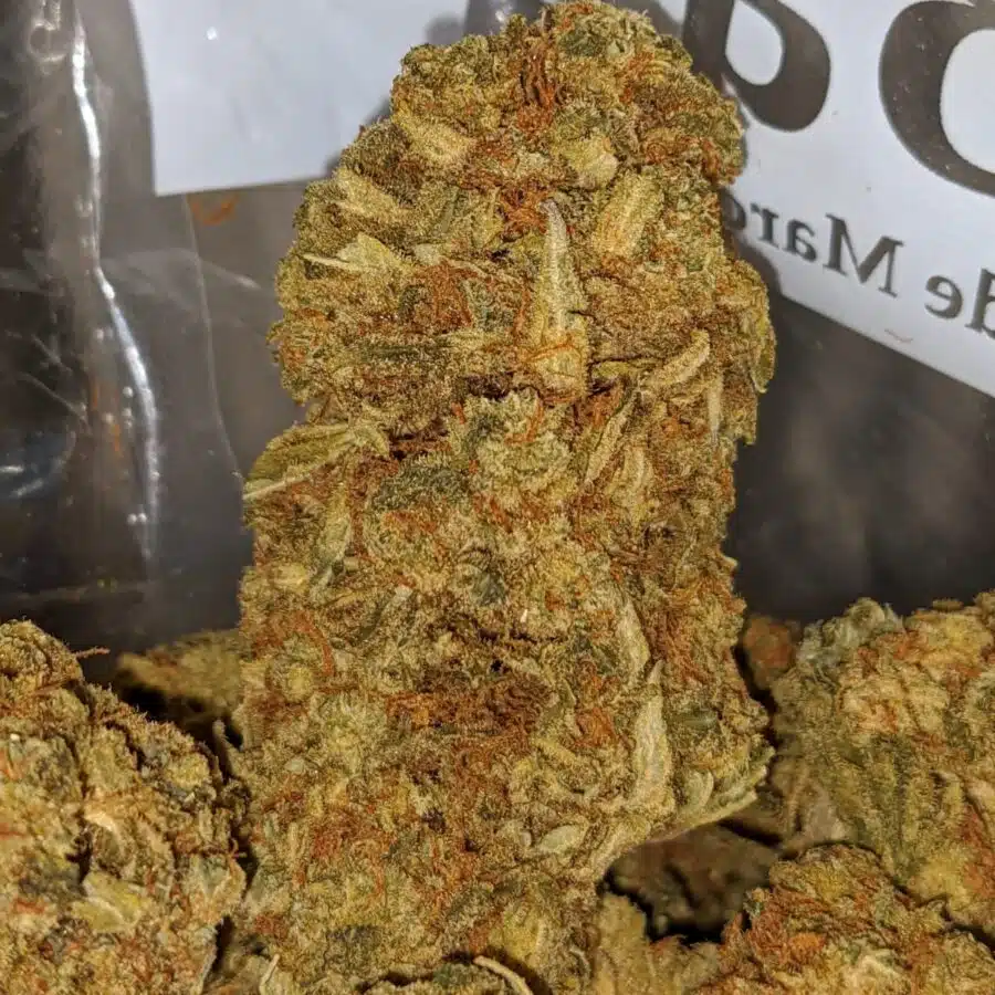 JACK DIESEL BS 2 I Jack Diesel Bulk Special