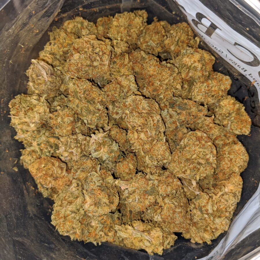 JACK DIESEL BS 3 I Jack Diesel Bulk Special