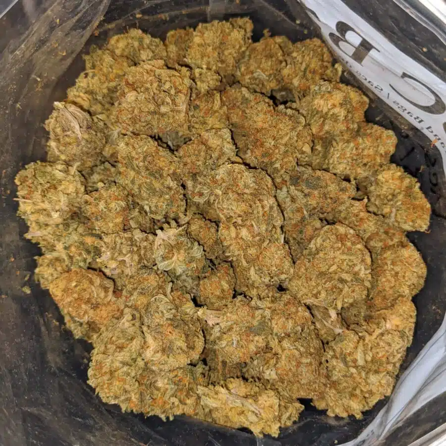 JACK DIESEL BS 3 I Jack Diesel Bulk Special