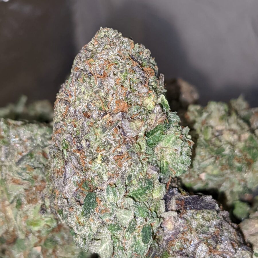 MK ULTRA 1 I MK Ultra